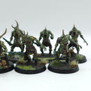 Warhammer Age of Sigmar: Maggotkin of Nurgle Plaguebearers - Well Painted (AD186)