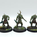 Warhammer Age of Sigmar: Maggotkin of Nurgle Plaguebearers - Well Painted (AD186)