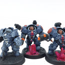 Warhammer 40k: Leagues of Votann Einhyr Hearthguard (AD146)