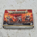 Warhammer Age of Sigmar Slaves to Darkness Varanguard - in Box AY516