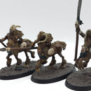 Warhammer Fantasy/The Old World: Beastmen Brayherd Centigor Herd (AM004)