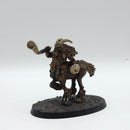 Warhammer Fantasy/The Old World: Beastmen Brayherd Centigor Herd (AM004)