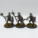 Warhammer Age of Sigmar: Ossiarch Bonereapers Immortis Guard - Well Painted (AZ075)