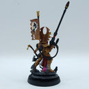 Warhammer 40k: Aeldari Eldar Fuegan - Painted (BN062)