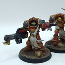 Warhammer Horus Heresy: Space Marines Blood Angels Crimson Paladins - Painted (AC112)