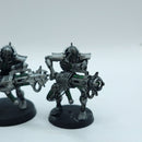 Warhammer 40k: Necron Immortals - Part Painted (AQ061)