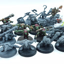 Warhammer Age of Sigmar: Ogor Mawtribes Gnoblars (AA010)