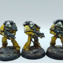 Warhammer Horus Heresy: Space Marines Imperial Fists MKVI Tactical Squad - Well Painted (BP016)