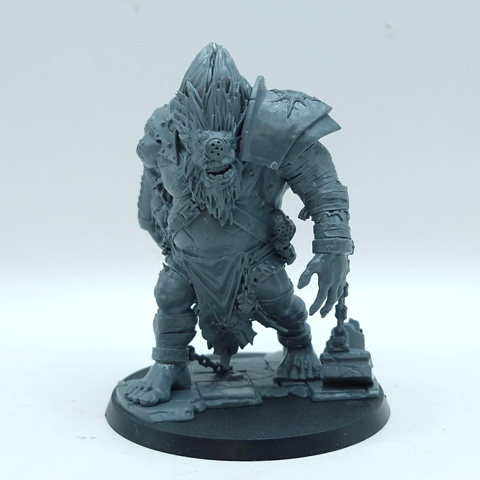 Warhammer Age of Sigmar: Slaves to Darkness Fomoroid Crusher (BI122)