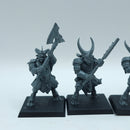 Warhammer The Old World: Beastmen Brayherds Bestigor Herd (BN128)