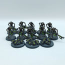 Warhammer 40k: Necron Warriors - Painted (BR030)