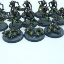 Warhammer 40k: Necron Warriors - Painted (BR030)