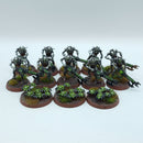 Warhammer 40k: Necron Warriors - Painted (BN149)
