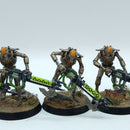 Warhammer 40k: Necron Warriors - Painted (BJ235)