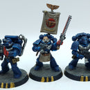 Warhammer 40k: Space Marines Crimson Fists Tactical Squad - Painted (BR171)