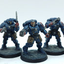 Warhammer 40k: Space Marines Crimson Fists Reivers - Painted (BH163)