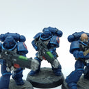 Warhammer 40k: Space Marines Crimson Fists Hellblasters - Painted (BA107)