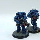 Warhammer 40k: Space Marines Crimson Fists Intercessors - Painted (BC131)