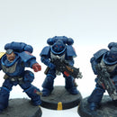 Warhammer 40k: Space Marines Crimson Fists Intercessors - Painted (BC131)