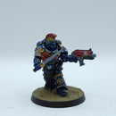 Warhammer 40k: Space Marines Victric Honour Guard - Painted (AQ051)