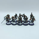 Warhammer 40k: Drukhari Wyches - Well Painted (AZ001)
