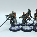 Warhammer 40k: Drukhari Wyches - Well Painted (AZ001)