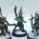 Warhammer 40k: Drukhari Incubi - Well Painted (BN141)