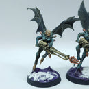 Warhammer 40k: Drukhari Scourges - Well Painted (BO102)