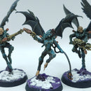 Warhammer 40k: Drukhari Scourges - Well Painted (BJ191)