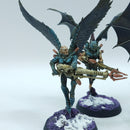 Warhammer 40k: Drukhari Scourges - Well Painted (BN096)