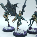 Warhammer 40k: Drukhari Scourges - Well Painted (BN096)