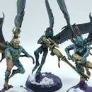 Warhammer 40k: Drukhari Scourges - Well Painted (BN096)