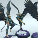 Warhammer 40k: Drukhari Scourges - Well Painted (AA197)