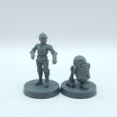 Star Wars Legion: Grand Army of the Republic/Rebels C3P0 and R2D2 (AH143)