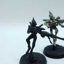 Warhammer 40k: Drukhari Scourges - Missing Wings (AW041)
