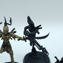 Warhammer 40k: Drukhari Scourges - Missing Wings (AW041)
