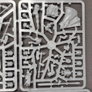 Warhammer Age of Sigmar: Warcry Stormcast Eternals Questor Soulsworn (BD205)