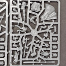 Warhammer Age of Sigmar: Warcry Stormcast Eternals Questor Soulsworn (BD205)