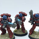Warhammer 40k: Space Marines Blood Angels Hellblasters - Pro Painted (BH084)