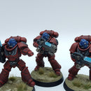 Warhammer 40k: Space Marines Blood Angels Hellblasters - Pro Painted (BH084)