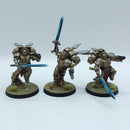 Warhammer 40k: Space Marines Blood Angels Sanguinary Guard - Pro Painted (AI159)