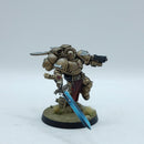 Warhammer 40k: Space Marines Blood Angels Sanguinary Guard - Pro Painted (AI159)