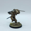 Warhammer 40k: Space Marines Blood Angels Sanguinary Guard - Pro Painted (AI159)