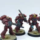 Warhammer 40k: Space Marines Blood Angels Assault Intercessors - Pro Painted (BN111)