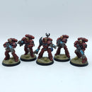 Warhammer 40k: Space Marines Blood Angels Hellblasters - Pro Painted (AZ150)