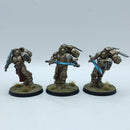 Warhammer 40k: Space Marines Blood Angels Sanguinary Guard - Pro Painted (AZ082)