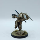 Warhammer 40k: Space Marines Blood Angels Sanguinary Guard - Pro Painted (AZ082)