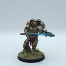 Warhammer 40k: Space Marines Blood Angels Sanguinary Guard - Pro Painted (AZ082)