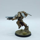 Warhammer 40k: Space Marines Blood Angels Sanguinary Guard - Pro Painted (AZ082)