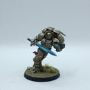 Warhammer 40k: Space Marines Blood Angels Sanguinary Guard - Pro Painted (AZ082)